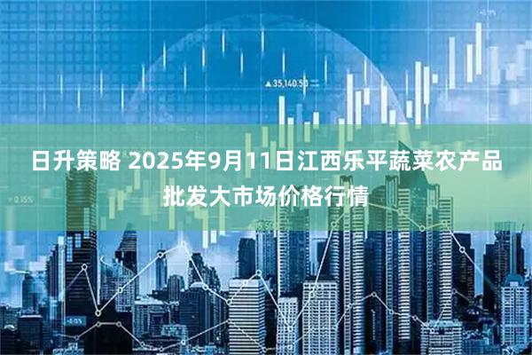 日升策略 2025年9月11日江西乐平蔬菜农产品批发大市场价格行情