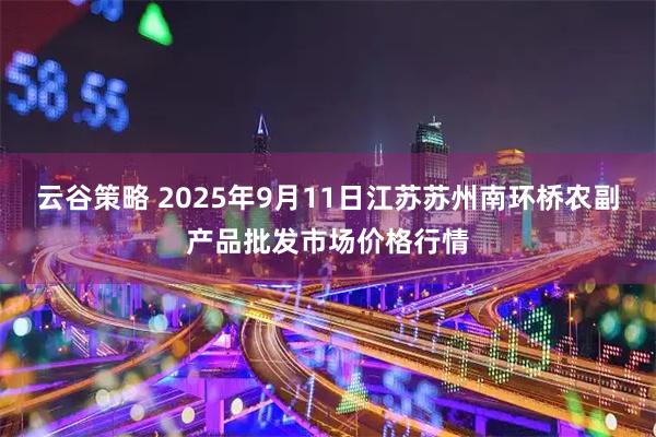 云谷策略 2025年9月11日江苏苏州南环桥农副产品批发市场价格行情