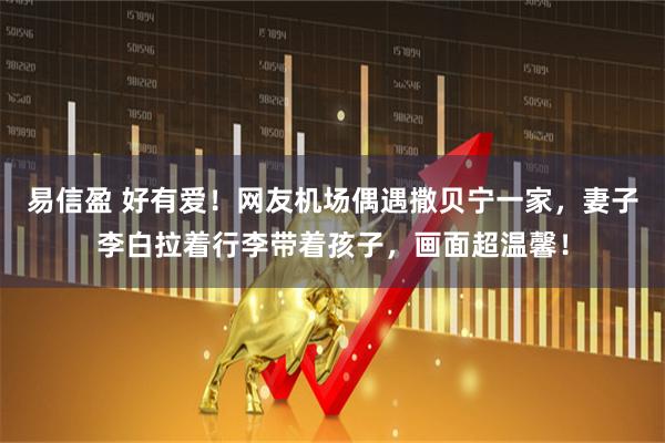 易信盈 好有爱！网友机场偶遇撒贝宁一家，妻子李白拉着行李带着孩子，画面超温馨！